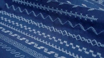 Pfaff ambition 610   4